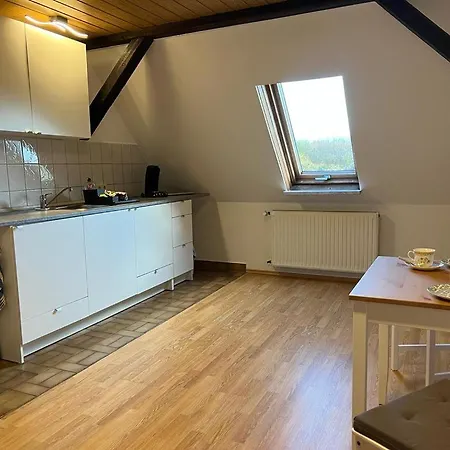 Daire Einzigartige Monteurswohnungen In Doebeln, Mastener Strasse Döbeln